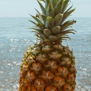 Meet your Posher, Mia